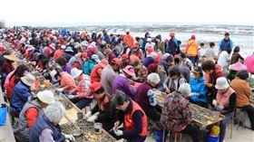 名家專用／台灣旅行趣（勿用）