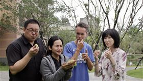 校園裡有梅子吃！東華「詠梅題詩大會」　把教室搬到戶外（圖／東華大學提供）