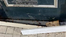 鄰居門縫竄蟑螂　女崩潰：爬到我家了（圖／翻攝自臉書我是中和人）