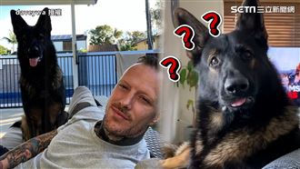 前緝毒犬聽關鍵字　秒轉頭：想被關？