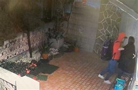 ▲林凡遭女粉絲騷擾長達6年，日前女粉絲甚至闖入住處咬傷她和打傷她的友人。（圖／翻攝畫面）