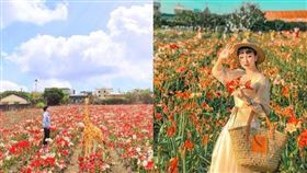 名家專用／台灣旅行趣（勿用）