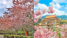 名家專用／台灣旅行趣（勿用）