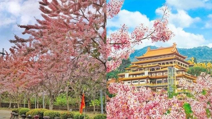 粉紅寺廟現身台南！增添唯美氛圍