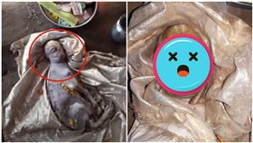 詭異「人面羊」降生！全村急獻供品膜拜：祖先轉世了（圖／翻攝自mahesh Chollangi YouTube）