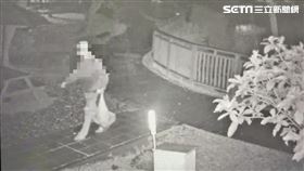 台大醉月湖校鵝遭陌生男子殺害帶走。（圖／翻攝畫面）