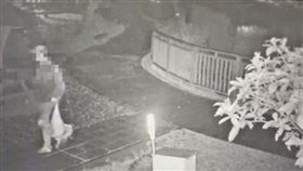 新聞台,台大殺鵝