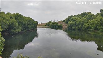 高雄秘境／快來看！市區竟有海洋濕地