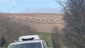 克里斯托佛看見遠處田野出現一個巨大同心圓，讓他感到相當困惑，（圖／翻攝自Christopher Hogg臉書） 