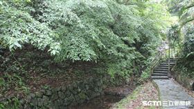 16:9
信義區秘境／全長500個石階　阿肥也能挑戰的糶米古道
圖／記者黃朝郁攝