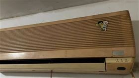 藏錢,回收,冷氣,鈔票,存摺,私房錢（澎湃新聞