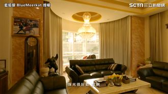 按豪宅電鈴求參觀　一棵樹10萬驚呆