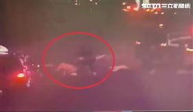 海陸,毒蟲,通緝犯,中和