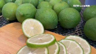 檸檬價格崩？A級品掉價　農民急觀望