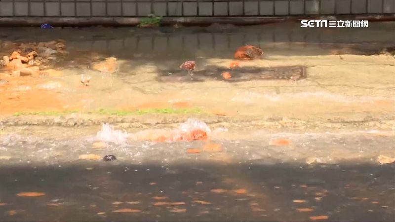 地下水狂流！台中1個月內水管爆4次