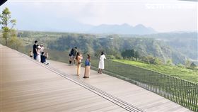 南投,鹿篙咖啡莊園,茶園景色,觀景平台