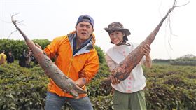 李佳穎。（圖／東森超視提供）