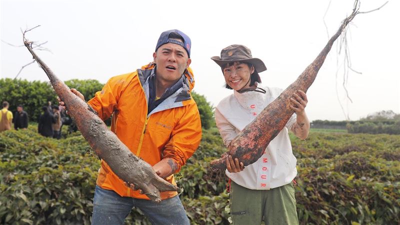突喊找到退休工作　李佳穎挖泥被目睹