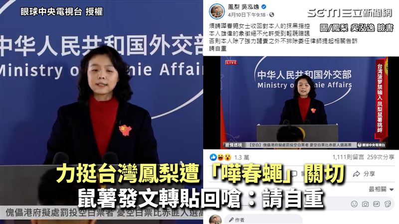 挺鳳梨遭嘩春蠅關切　鼠薯霸氣回嗆