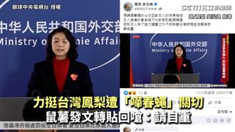 挺鳳梨遭嘩春蠅關切　鼠薯霸氣回嗆