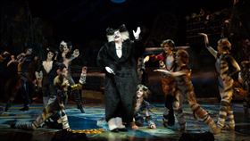 《貓》/寬宏藝術提供