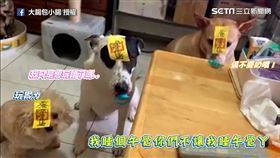 ▲▼。（圖／大腸包小腸 授權）