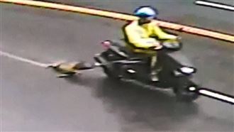 竹東男騎車「拖狗」小黃四肢磨傷見骨