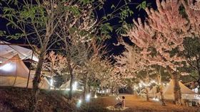 高雄市美濃區「蝶舞澗休閒農場」,IG：beckhamhong66 授權提供