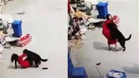 ▲紅衣長裙女子被大公狗撲倒。（圖／翻攝自監視器畫面）