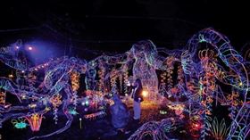 ▲（圖／臺南市政府經濟發展局提供）