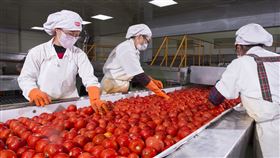 最美味可果美蕃茄醬　國人可安心食用