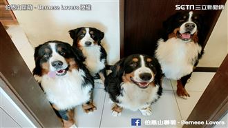 4巨汪塞住門口　她氣音喊：借我過！