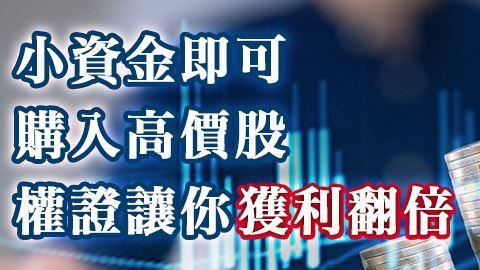 選擇權證　小資族參與台股獲利行情