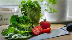 萵苣,羅曼萵苣,生菜,沙拉 圖／Pixabay