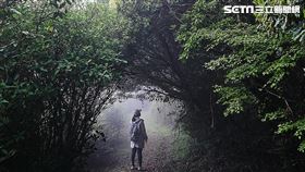 山林開放與後疫情時代國旅爆發，爬山儼然變成既健康又新潮的戶外運動項目（圖／記者李鴻典攝）