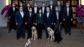 16:9
蔡英文宴請陶德訪問團　大合照有亮點！「台灣戰貓」不忍了
圖／翻攝自蔡英文推特