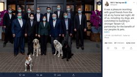 １６：９
狗狗入鏡讓「台灣戰貓」不忍了！蔡英文發文也玩寵物梗
圖／翻攝自蔡英文推特