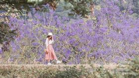 名家專用／台灣旅行趣（勿用）