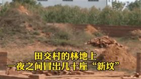 ▲村外一夜間冒出新墳。（圖／翻攝自湛江微信）