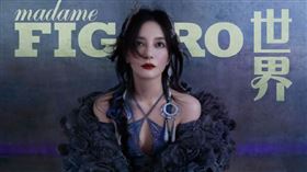 趙薇登上《Madame Figaro》中文版雜誌封面。（圖／翻攝自趙薇微博）