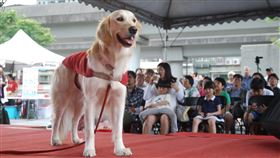 惠光導盲犬教育基金會明日下午於北市花博公園圓山入口廣場舉行活動，導盲犬將卸下導盲鞍與背心讓民眾可近距離接觸。（圖／惠光導盲犬教育基金會授權提供）