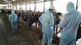 防堵牛結節疹 屏東成立動物疫災應變中心（1）屏東縣長潘孟安指示縣政府超前部署，16日緊急成立動物疫災應變中心，將全面巡查縣內194處養牛畜牧場，全力防堵牛結節疹發生。圖為防疫人員巡查牧場。（屏東縣政府提供）中央社記者郭芷瑄傳真  110年4月16日