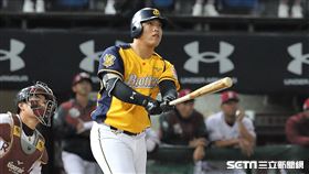▲中信兄弟外野手陳子豪。（圖／記者劉彥池攝影）