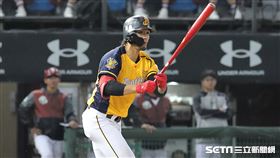 ▲中信兄弟外野手張志豪。（圖／記者劉彥池攝影）
