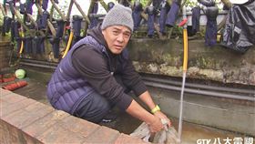 竇智孔親手洗牛糞。（圖／八大提供）