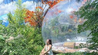 IG紅什麼/夢幻森林系仙境在南投