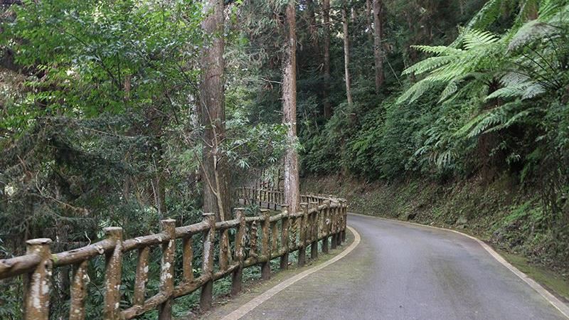 藤枝國家森林遊樂區5月初開園