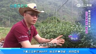 接家業拚轉型　劉松杰讓民眾體驗製茶