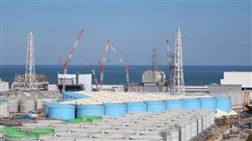 東電幹部木元崇宏說，日本政府正在檢討將核廢水排入環境中，東電正等待政府決定處理方針。圖為福島第一核電廠外放置含氚廢水的儲存槽。（圖／翻攝自東京電力控股有限公司網頁tepco.co.jp）
