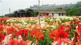 名家專用／台灣旅行趣（勿用）